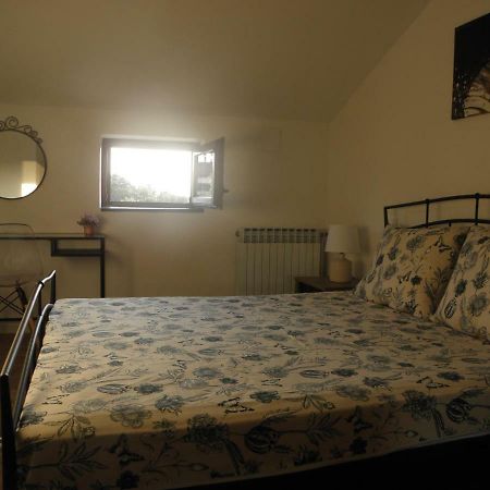 Apartman Klesinger 2 Poreč Dış mekan fotoğraf